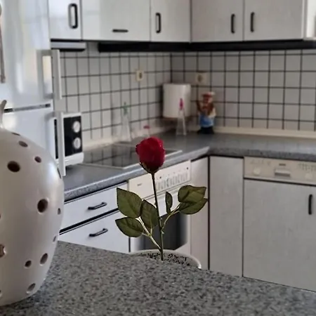 Apartment Flat , Near The Aiport