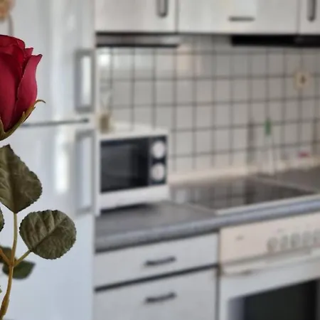 Apartment Flat , Near The Aiport